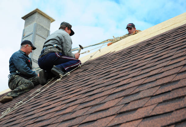 Quick and Trustworthy Emergency Roof Repair Services in Falmouth, VA